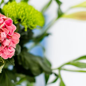 Palliativmedizin Schwerte